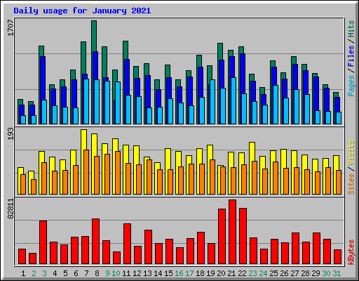 Daily usage for January 2021