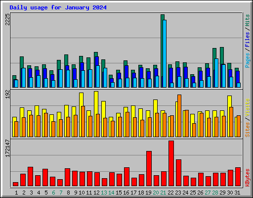 Daily usage for January 2024