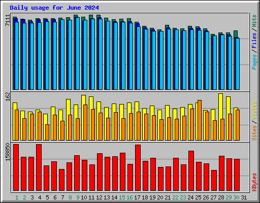 Daily usage for June 2024