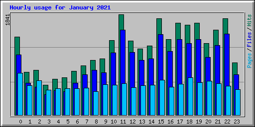 Hourly usage for January 2021