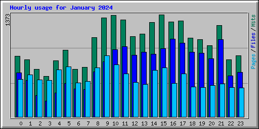 Hourly usage for January 2024