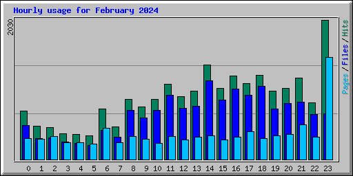 Hourly usage for February 2024