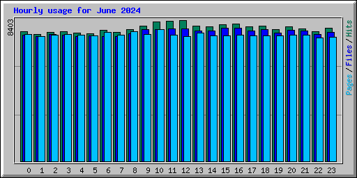 Hourly usage for June 2024