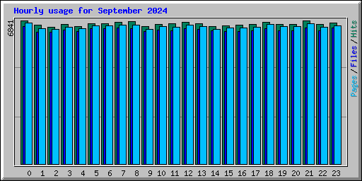Hourly usage for September 2024