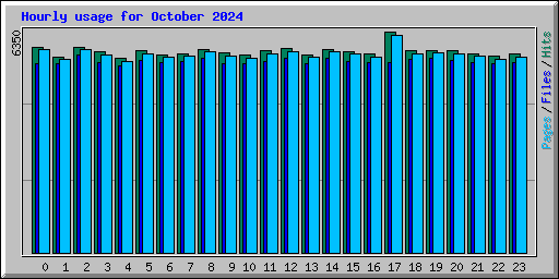 Hourly usage for October 2024