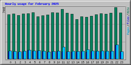 Hourly usage for February 2025