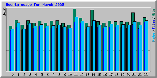 Hourly usage for March 2025