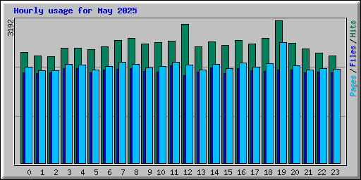 Hourly usage for May 2025