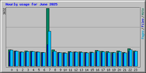 Hourly usage for June 2025