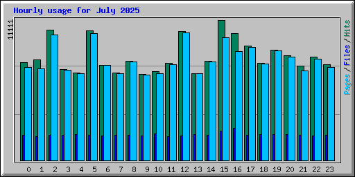 Hourly usage for July 2025