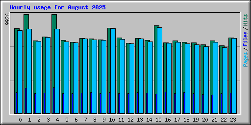 Hourly usage for August 2025
