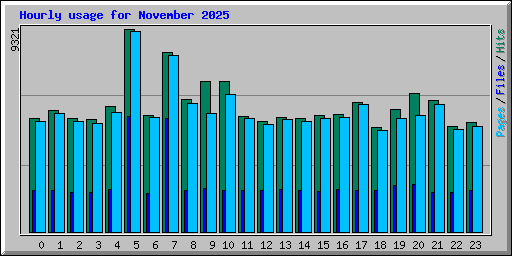 Hourly usage for November 2025