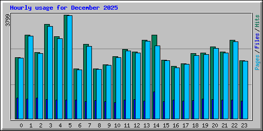 Hourly usage for December 2025