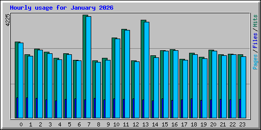 Hourly usage for January 2026