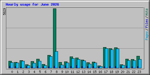 Hourly usage for June 2026